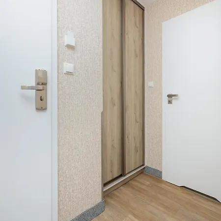 Amber Tiger بوبيروفو